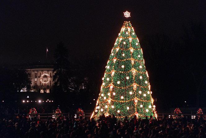 KIEDY ROZEBRAĆ CHOINKĘ 2019? Do kiedy choinka w pokoju?