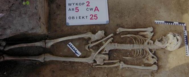 Ludzkie szczątki z cmentarza w Płocku trafiły do Łodzi. Zbadają je naukowcy!