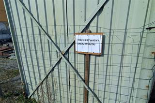 Wystawa nagrobków straszy w centrum Szczecina