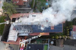 Podpalił sklep przy ul. Jagiellońskiej w Olsztynie, ale ma więcej na sumieniu. Może trafić za kraty na 10 lat [ZDJĘCIA]