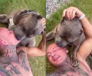 Internet w szoku po tym, co zrobił Artur Szpilka ze swoim psem. Czy on się właśnie przelizał?