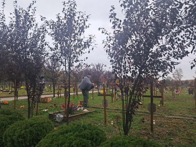 Rekordowa akcja "Światełko Pamięci". Uczniowie z Łodzi porządkowali opuszczone groby