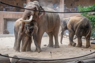 Atrakcje turystyczne w Łodzi. Zobacz, co warto zwiedzić [LISTA]