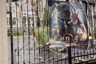 Willa na Jaśkowej Dolinie znów ozdobiona. Tym razem przechodniów zaskakują halloweenowe straszydła!