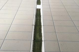 Basen przy ul. Niegocińskiej