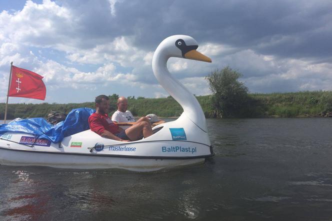 Dwóch śmiałków przepłynęło Wisłę na pływającym łabędziu