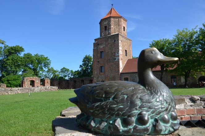 Miasto, które słynie ze szpitala psychiatrycznego i zamku. Toszek na zdjęciach