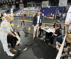 ​XXVII Międzynarodowa Wystawa Psów Rasowych - POMERANIA SHOW