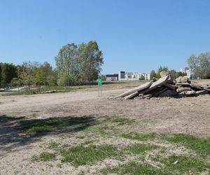 Potworki ursynowskie robią furorę w sieci. Mieszkańcy dzielnicy podzieleni. „Kto na to pozwalał”