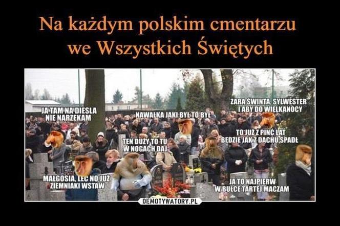 Najlepsze memy na Wszystkich Świętych. Uśmiejesz się do łez 