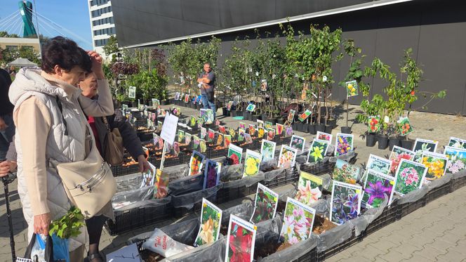 Jesienny Kiermasz Ogrodniczy w Bydgoszczy przyciągnął miłośników zieleni i smakołyków!