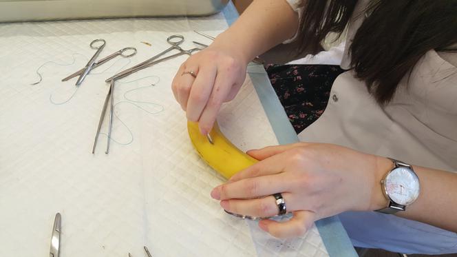 Drzwi Otwarte w Collegium Medicum UMK