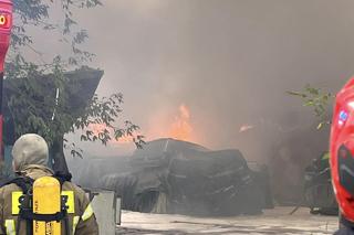 Potężny pożar zakładu produkcyjnego w Sulejówku /film i zdjęcia/