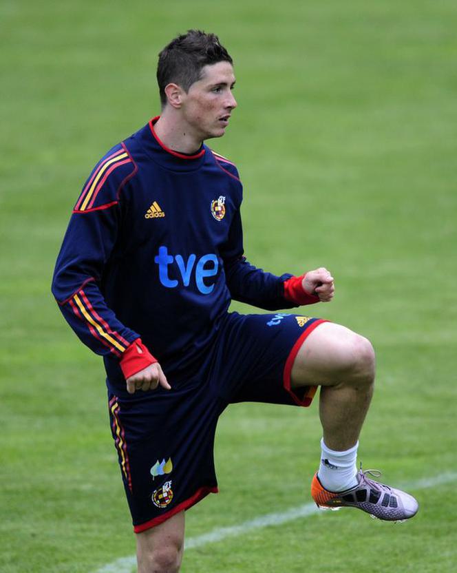 Fernando Torres