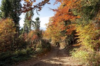 To miejsce w Małopolsce najpiękniej wygląda późną jesienią według AI. Ma status kultowego