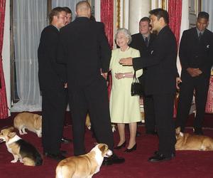 Psy Królowej Elżbiety II