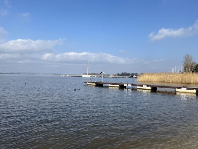 Jezioro Dąbie