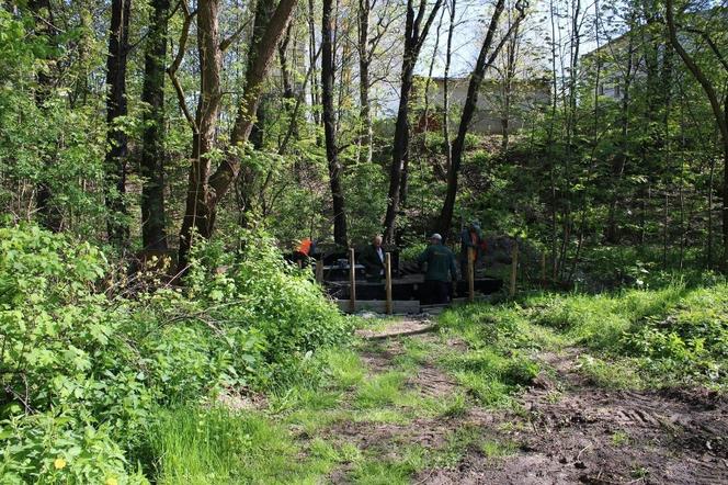 W Katowicach powstaje nowy park. Rozpoczęła się rewitalizacja Doliny Ślepiotki 