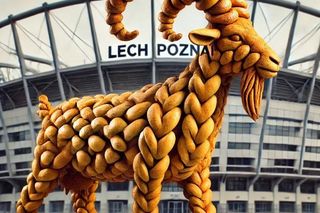 Tak wygląda Poznań z chałki