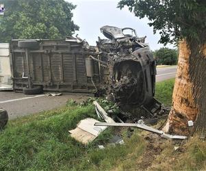 Tragiczny wypadek na DK-17 w woj. lubelskim. Zmarł pasażer i padł koń