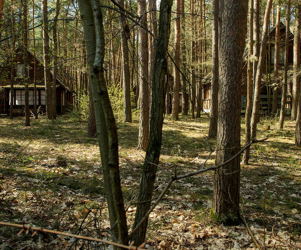 Lasy Państwowe przejęły ośrodek wypoczynkowy w Skubiance. Ambasada Rosji zapowiada protest
