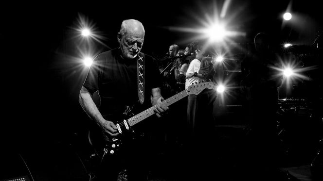 8. David Gilmour