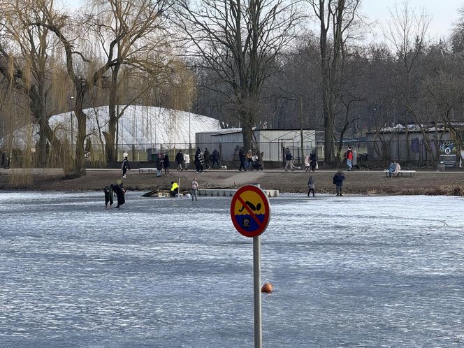 Skrajna nieodpowiedzialność. Spacerują po płytkim lodzie z dziećmi i psami. Dramat na Pradze-Południe w Warszawie