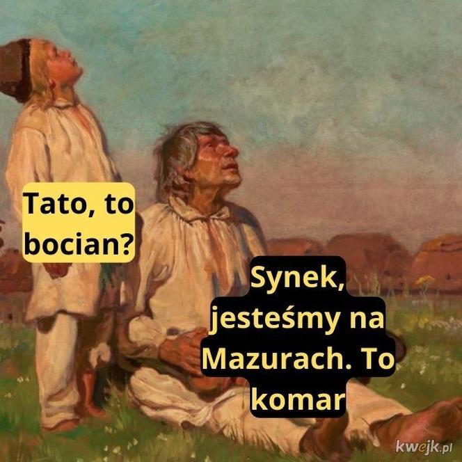 Memy na majówkę 2023. Te obrazki rozbawią Cię do łez!