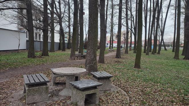 Park przy ulicy Gronowskiej w Lesznie