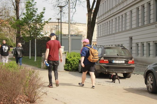 Sezon na Wyspie Słodowej we Wrocławiu oficjalnie rozpoczęty