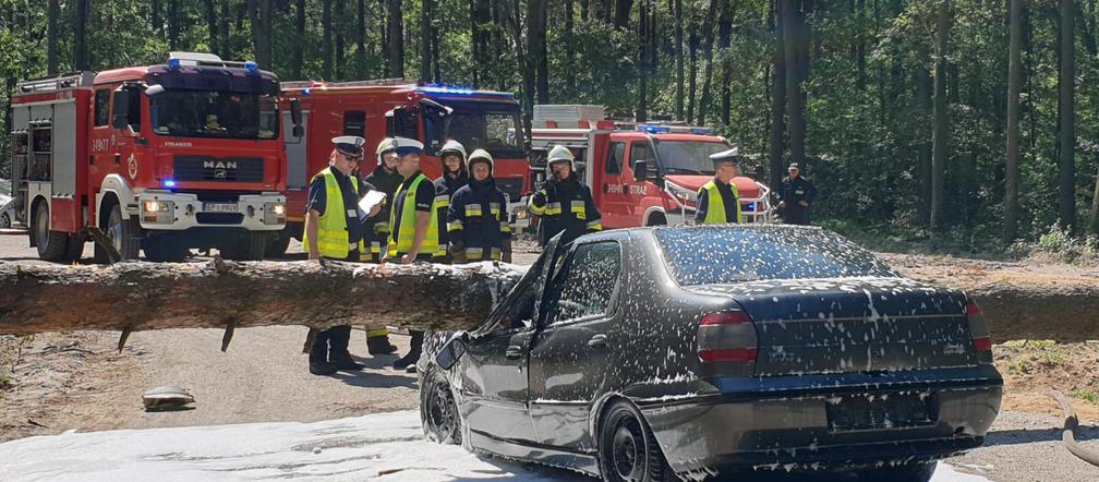Tak działają służby w sytuacji kryzysowej