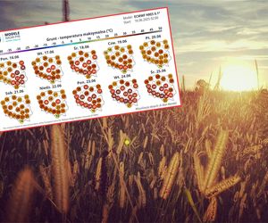 Potężne uderzenie lata. Wiadomo, kiedy do Polski nadejdą upały rzędu 40 st. C