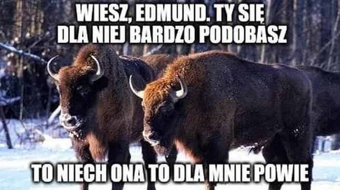 Memy na Dzień Kobiet. 8 marca na Podlasiu