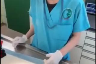 Jeżyk uczulony na sianko