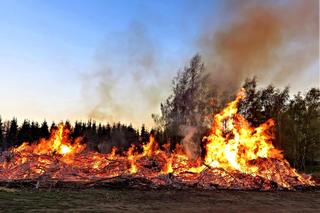 Mazowiecki Park Krajobrazowy stanął w ogniu. Pożar gasił samolot gaśniczy