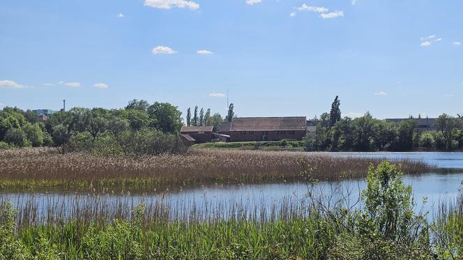 Było, zniknęło i... powróciło. Zobacz magiczne jezioro Track na obrzeżach Olsztyna [ZDJĘCIA]