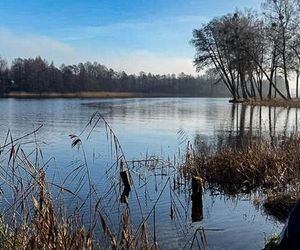 Trójkąt śmierci. Tajemnicze zgony w Miłomłynie