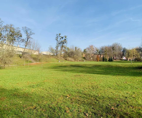 Nauczyciel dostał park w Google Maps. Żart zaskoczył urzędników i dziennikarzy