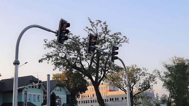 Tablice będą wskazywać rejon wolnych miejsc parkingowych