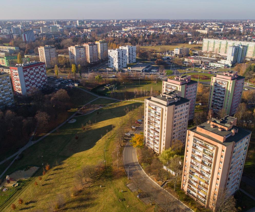 Lubelscy urbaniści zajęli się ponad 490 hektarami zieleni. Których terenów to dotyczy?