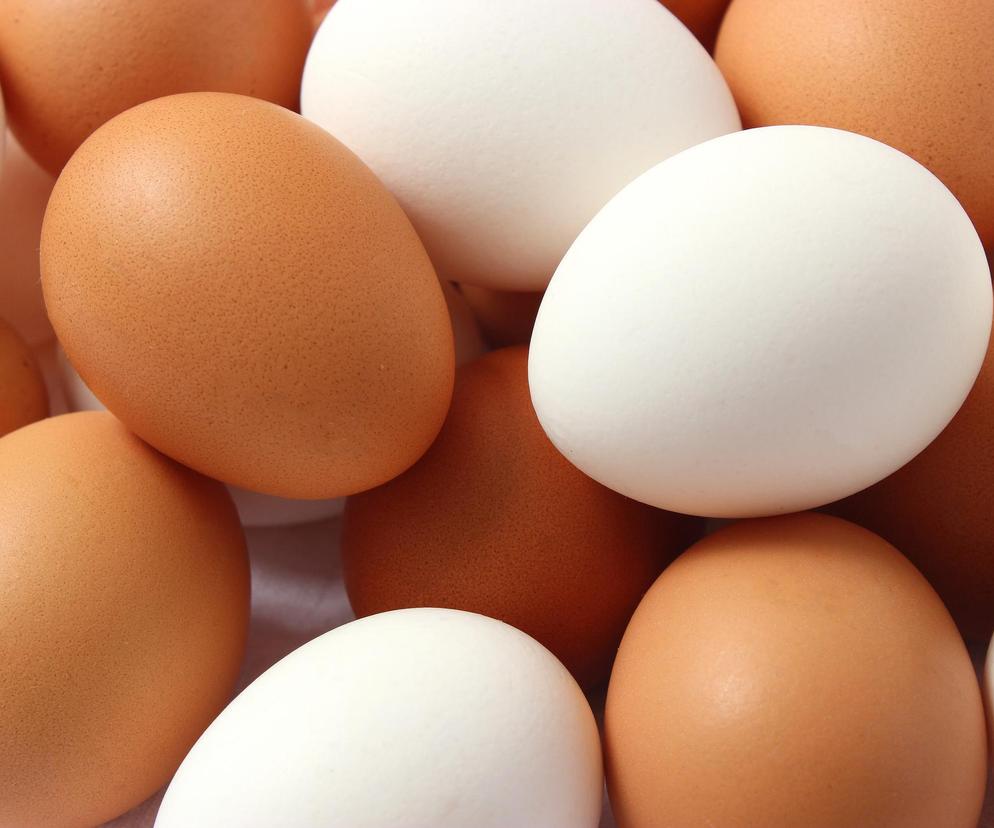 Wszystko, co chcecie wiedzieć o jajkach, ale wstydzicie się zapytać. Wiedza nie tylko na Wielkanoc  