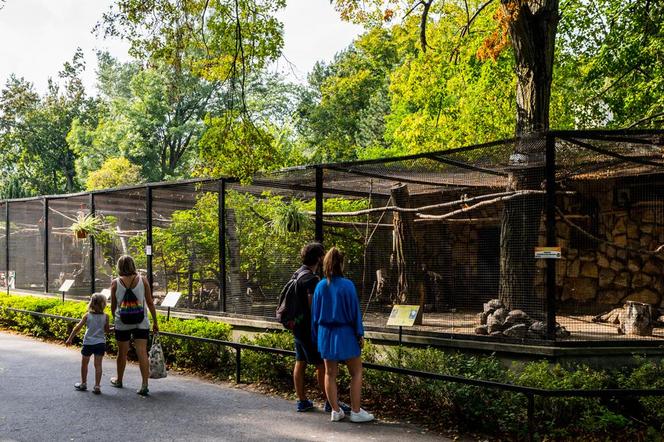 Miejski Ogród Zoologiczny w Warszawie