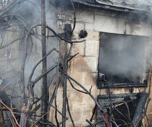 Tragedia w Walentynki. Zwęglone ciała dwóch kobiet w Gdańsku. Sprawę bada prokuratura