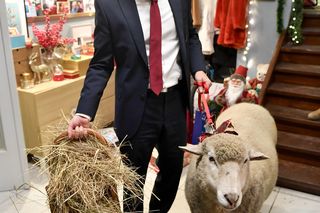 Marcin Mroczek rozwód