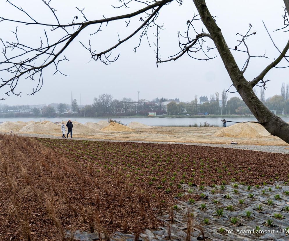 Nowa miejska plaża w Rzeszowie już powstaje. Już niedługo będzie gotowa 