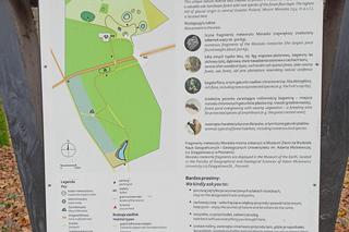 Rezerwat przyrody Meteoryt Morasko