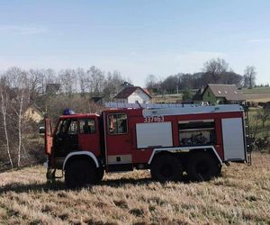 Pierwsza ofiara śmiertelna wypalania traw w Małopolsce. Nie żyje 78-letni mężczyzna