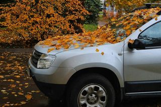 Rozpoczął się zdradliwy i niebezpieczny okres. Policja przypomina i apeluje