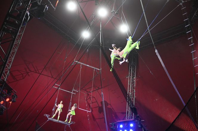 Cyrk Zalewski. Oto artyści 25. Międzynarodowego Festiwalu Sztuki Cyrkowej w Warszawie