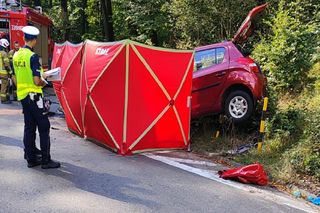 Tragiczny wypadek! Zginęło małżeństwo 